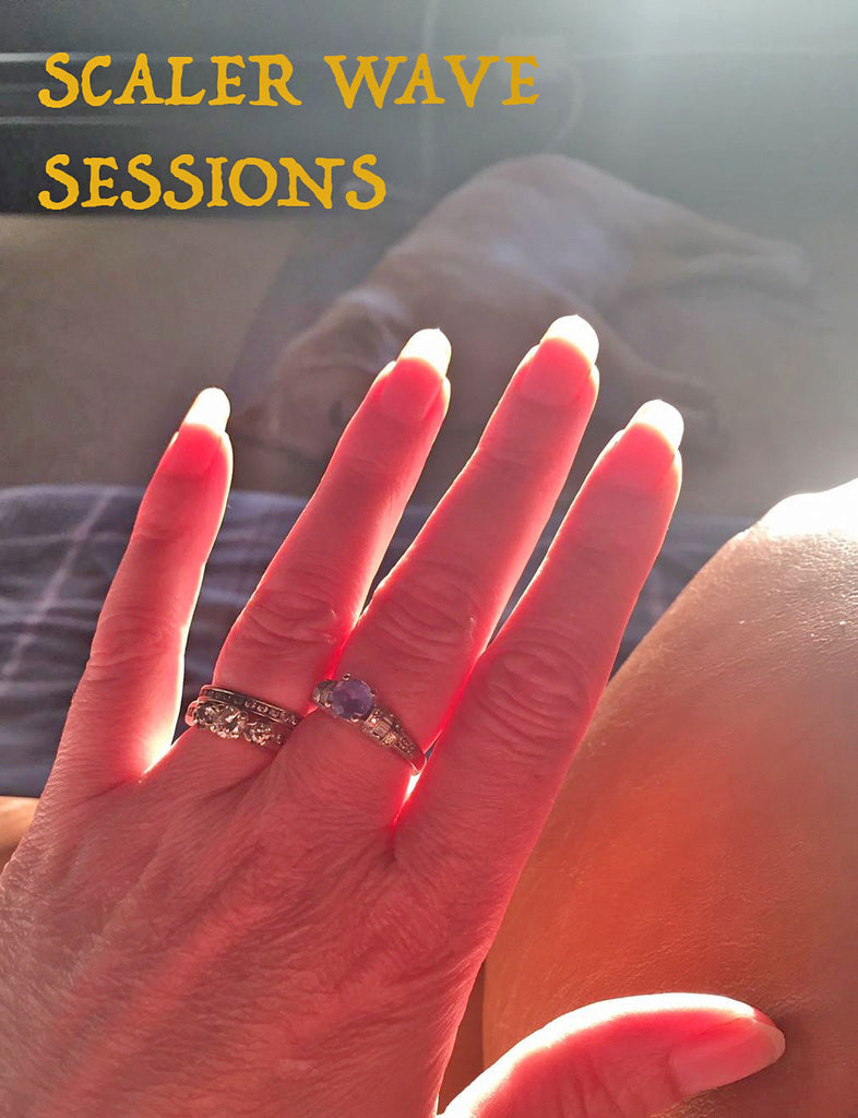 Scaler Wave Sessions