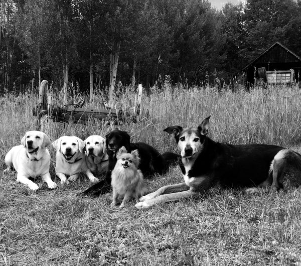 Annie, Reese and Toby with their cousins Meeka, Sasha and Jackson.